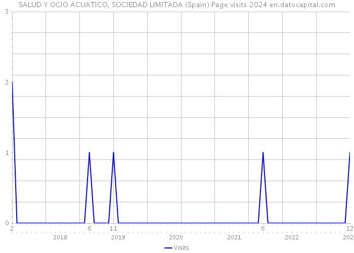 SALUD Y OCIO ACUATICO, SOCIEDAD LIMITADA (Spain) Page visits 2024 