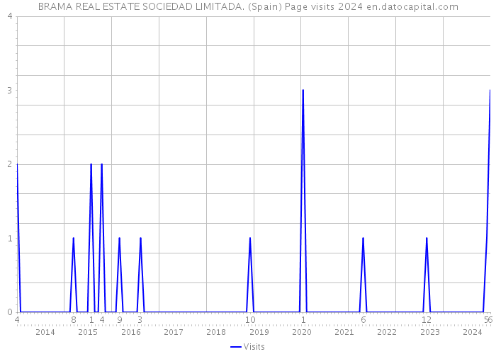BRAMA REAL ESTATE SOCIEDAD LIMITADA. (Spain) Page visits 2024 