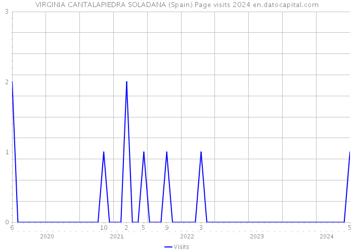 VIRGINIA CANTALAPIEDRA SOLADANA (Spain) Page visits 2024 