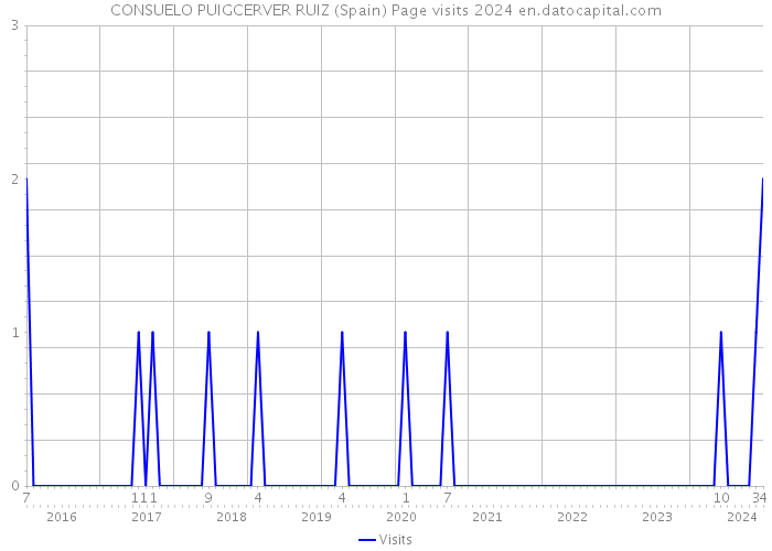 CONSUELO PUIGCERVER RUIZ (Spain) Page visits 2024 