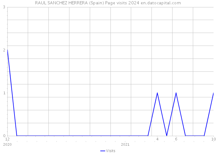 RAUL SANCHEZ HERRERA (Spain) Page visits 2024 