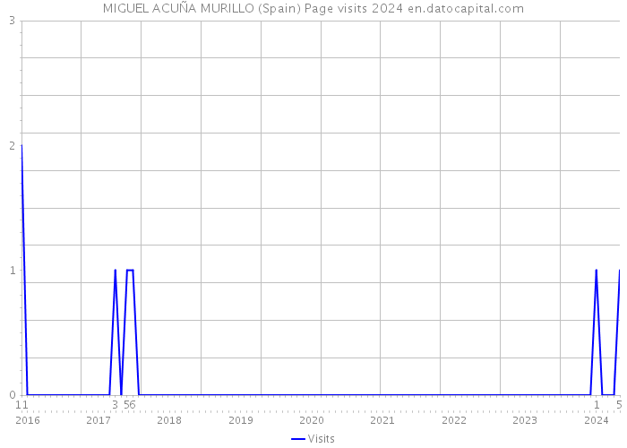 MIGUEL ACUÑA MURILLO (Spain) Page visits 2024 