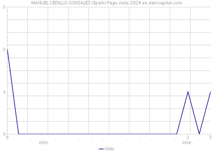 MANUEL CEDILLO GONZALEZ (Spain) Page visits 2024 