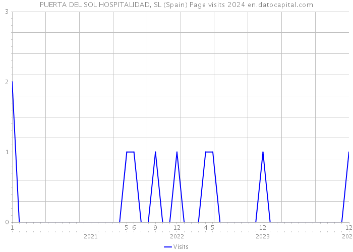PUERTA DEL SOL HOSPITALIDAD, SL (Spain) Page visits 2024 