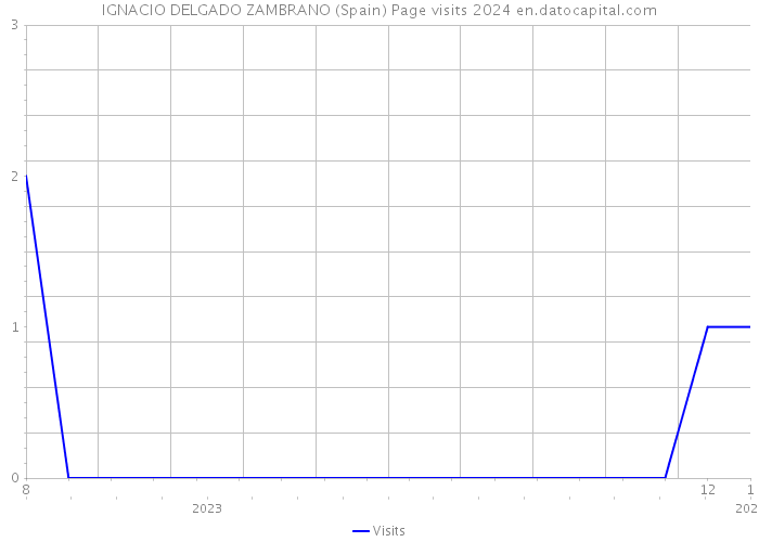 IGNACIO DELGADO ZAMBRANO (Spain) Page visits 2024 