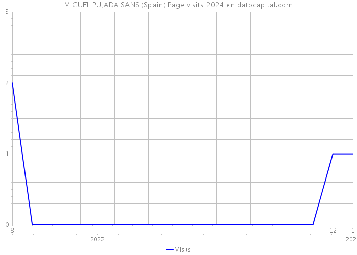 MIGUEL PUJADA SANS (Spain) Page visits 2024 
