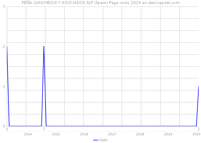 PEÑA GANCHEGUI Y ASOCIADOS SLP (Spain) Page visits 2024 