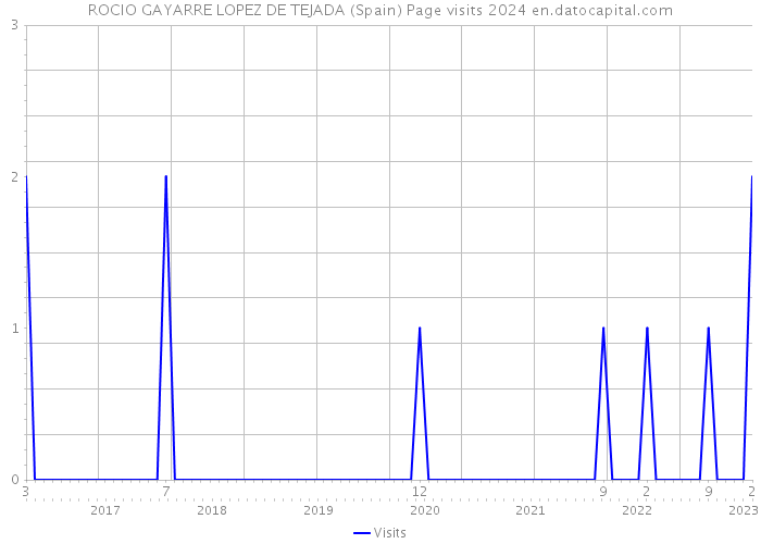 ROCIO GAYARRE LOPEZ DE TEJADA (Spain) Page visits 2024 