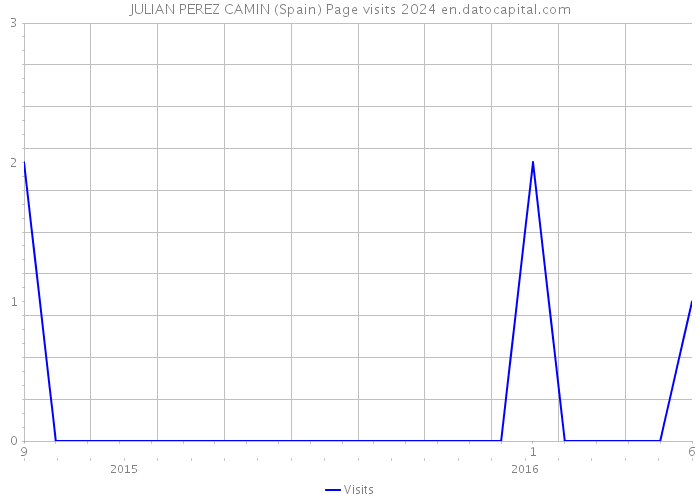 JULIAN PEREZ CAMIN (Spain) Page visits 2024 
