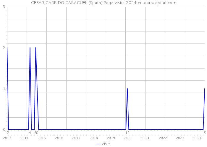 CESAR GARRIDO CARACUEL (Spain) Page visits 2024 