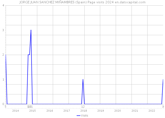 JORGE JUAN SANCHEZ MIÑAMBRES (Spain) Page visits 2024 