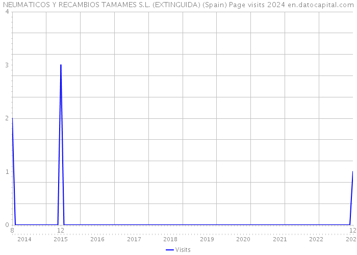 NEUMATICOS Y RECAMBIOS TAMAMES S.L. (EXTINGUIDA) (Spain) Page visits 2024 