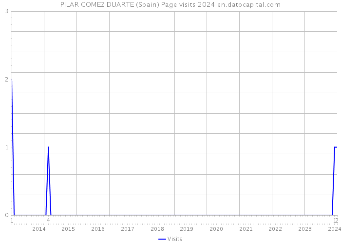 PILAR GOMEZ DUARTE (Spain) Page visits 2024 