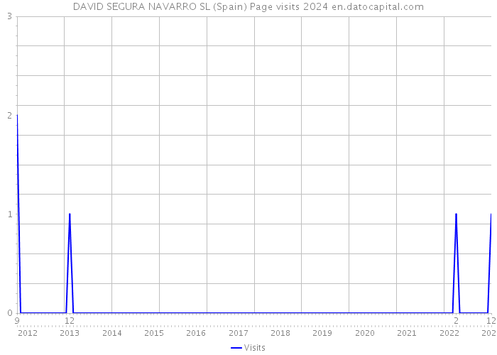 DAVID SEGURA NAVARRO SL (Spain) Page visits 2024 