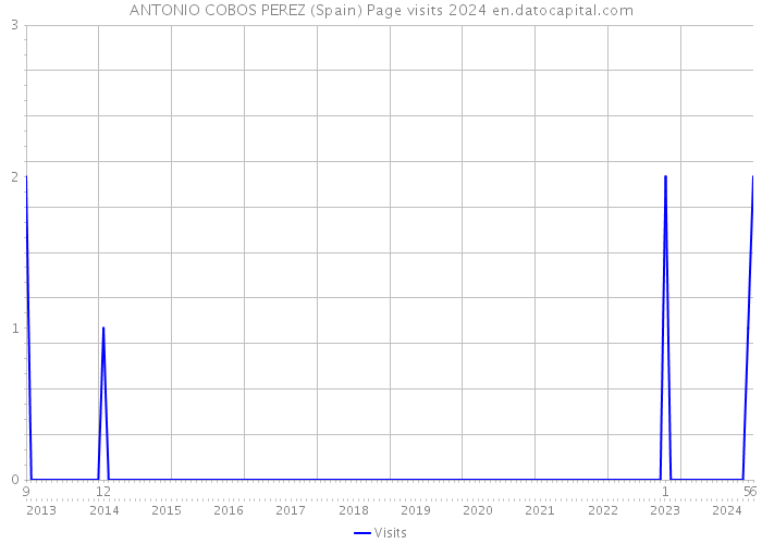 ANTONIO COBOS PEREZ (Spain) Page visits 2024 