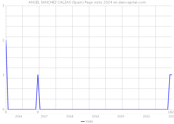 ANGEL SANCHEZ CALZAS (Spain) Page visits 2024 