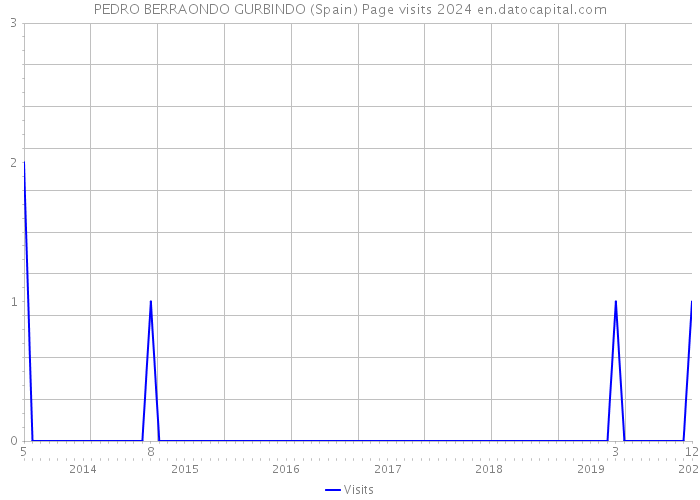 PEDRO BERRAONDO GURBINDO (Spain) Page visits 2024 
