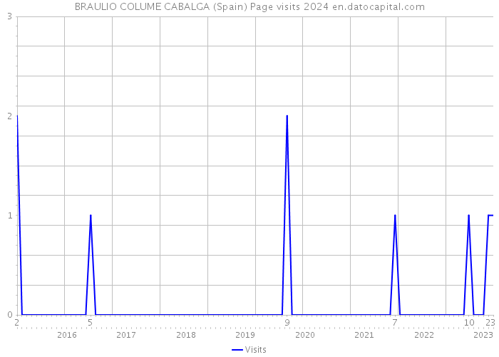 BRAULIO COLUME CABALGA (Spain) Page visits 2024 