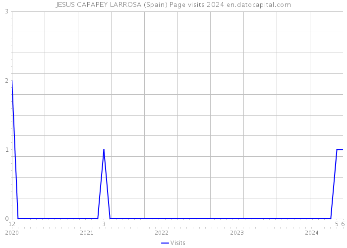 JESUS CAPAPEY LARROSA (Spain) Page visits 2024 