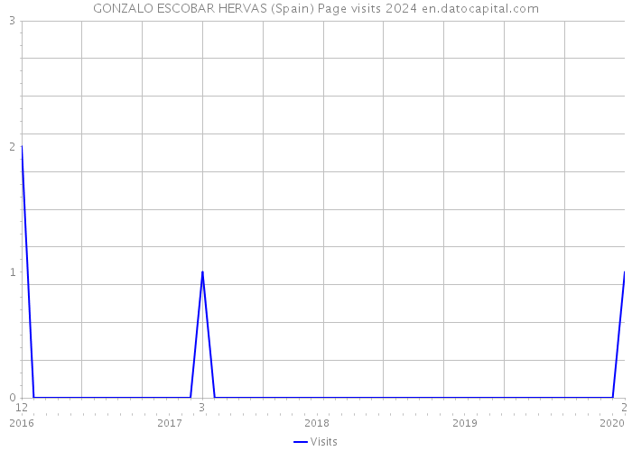 GONZALO ESCOBAR HERVAS (Spain) Page visits 2024 