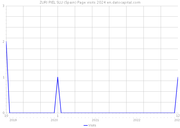 ZURI PIEL SLU (Spain) Page visits 2024 