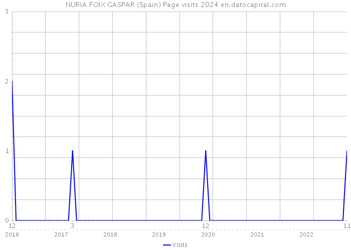 NURIA FOIX GASPAR (Spain) Page visits 2024 