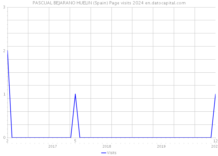PASCUAL BEJARANO HUELIN (Spain) Page visits 2024 