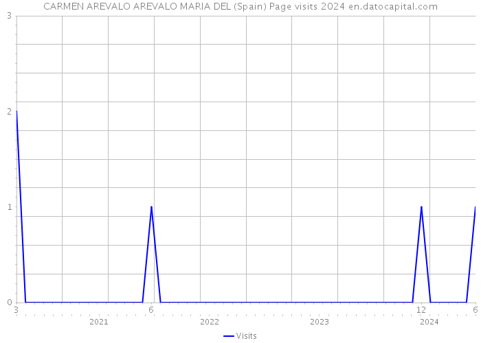 CARMEN AREVALO AREVALO MARIA DEL (Spain) Page visits 2024 