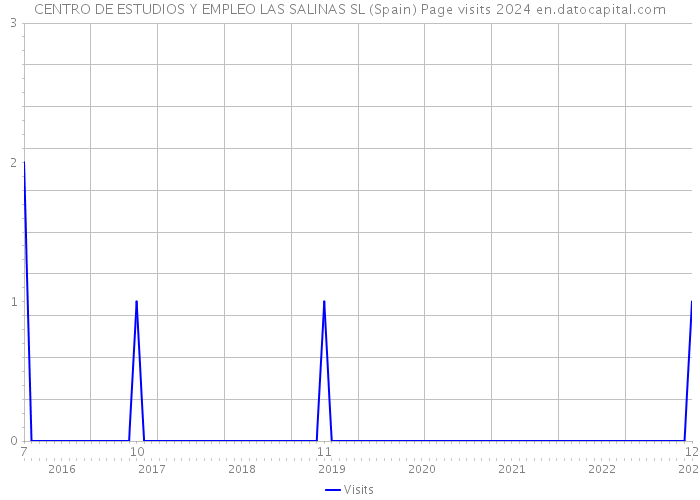 CENTRO DE ESTUDIOS Y EMPLEO LAS SALINAS SL (Spain) Page visits 2024 