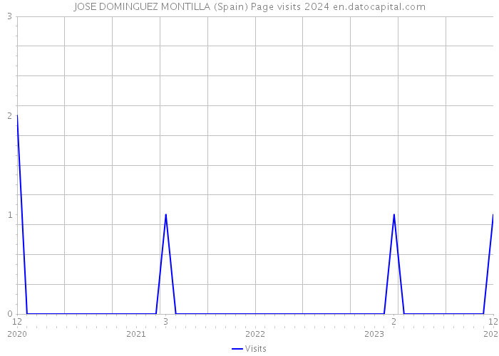 JOSE DOMINGUEZ MONTILLA (Spain) Page visits 2024 
