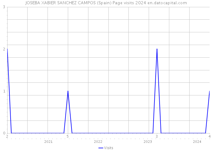 JOSEBA XABIER SANCHEZ CAMPOS (Spain) Page visits 2024 