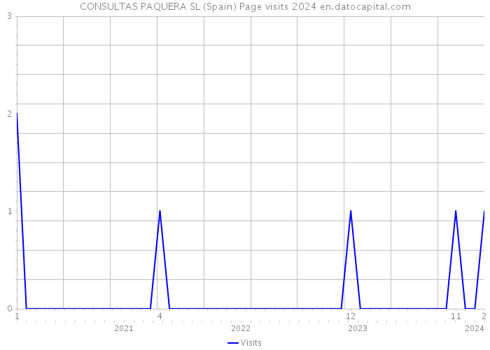 CONSULTAS PAQUERA SL (Spain) Page visits 2024 