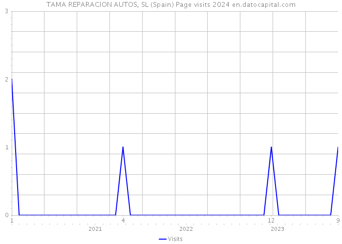 TAMA REPARACION AUTOS, SL (Spain) Page visits 2024 