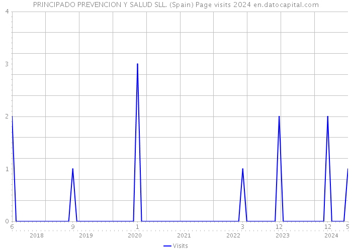 PRINCIPADO PREVENCION Y SALUD SLL. (Spain) Page visits 2024 
