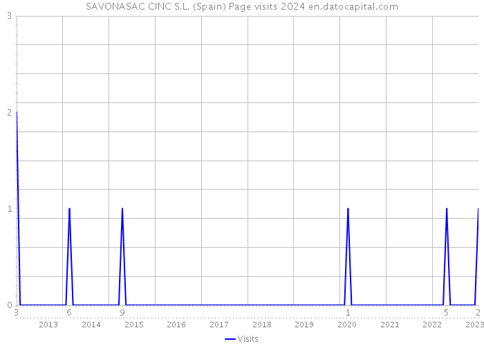 SAVONASAC CINC S.L. (Spain) Page visits 2024 