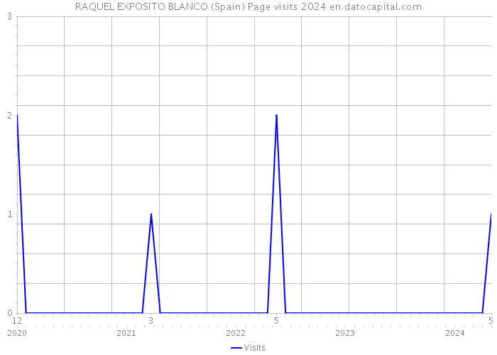 RAQUEL EXPOSITO BLANCO (Spain) Page visits 2024 