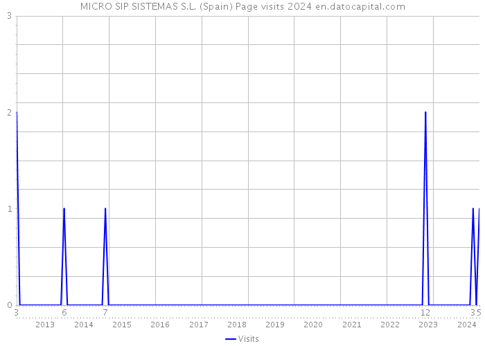 MICRO SIP SISTEMAS S.L. (Spain) Page visits 2024 