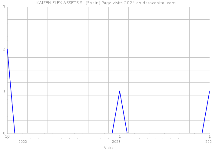 KAIZEN FLEX ASSETS SL (Spain) Page visits 2024 