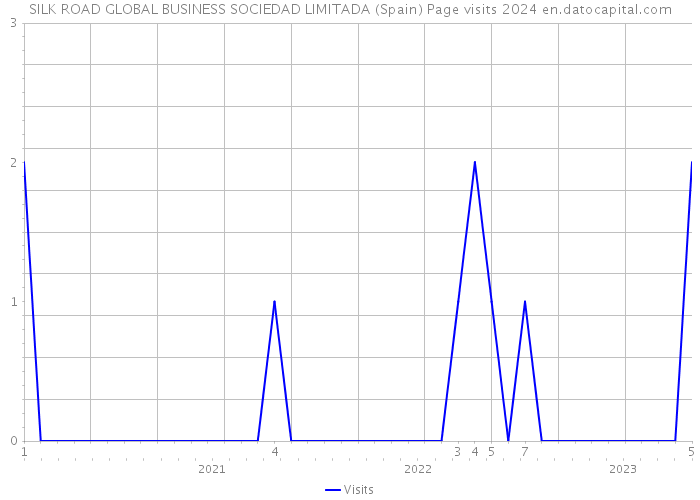 SILK ROAD GLOBAL BUSINESS SOCIEDAD LIMITADA (Spain) Page visits 2024 