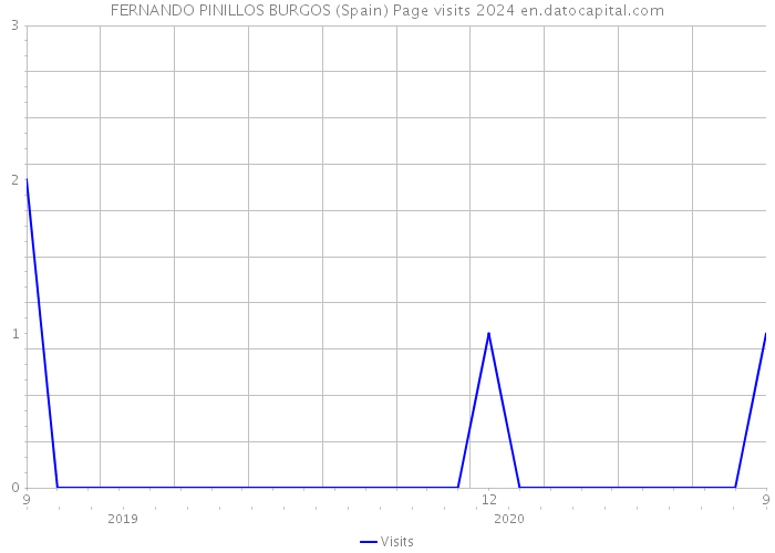 FERNANDO PINILLOS BURGOS (Spain) Page visits 2024 
