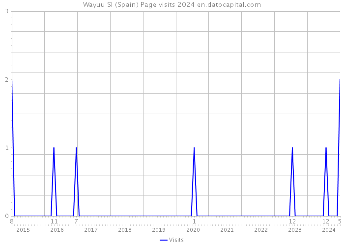 Wayuu Sl (Spain) Page visits 2024 