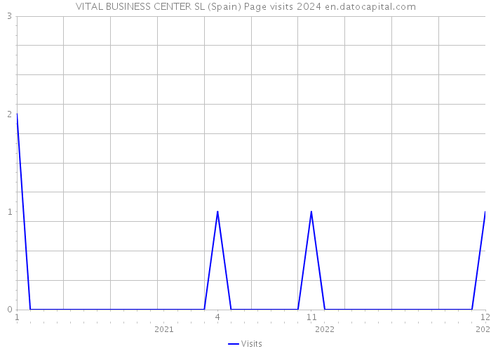 VITAL BUSINESS CENTER SL (Spain) Page visits 2024 