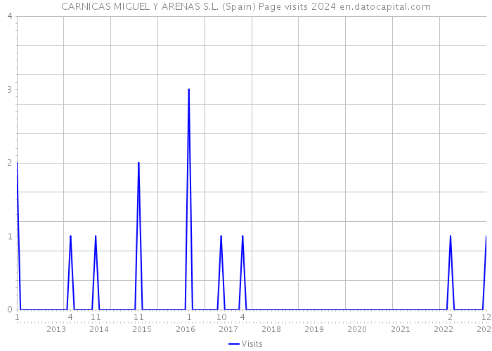 CARNICAS MIGUEL Y ARENAS S.L. (Spain) Page visits 2024 