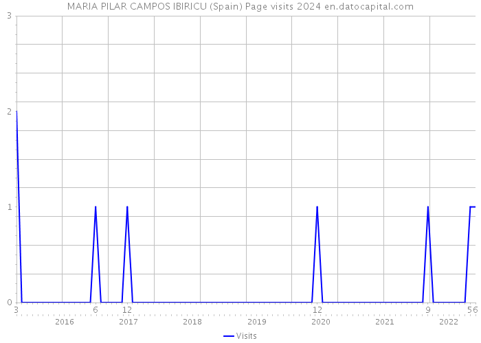 MARIA PILAR CAMPOS IBIRICU (Spain) Page visits 2024 