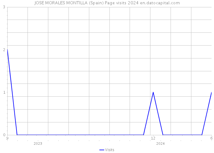 JOSE MORALES MONTILLA (Spain) Page visits 2024 
