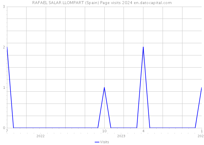 RAFAEL SALAR LLOMPART (Spain) Page visits 2024 