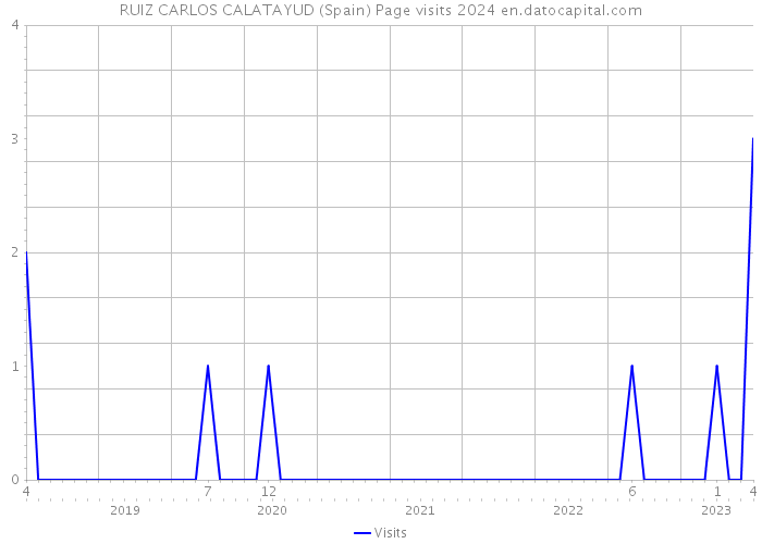 RUIZ CARLOS CALATAYUD (Spain) Page visits 2024 