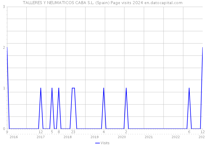 TALLERES Y NEUMATICOS CABA S.L. (Spain) Page visits 2024 