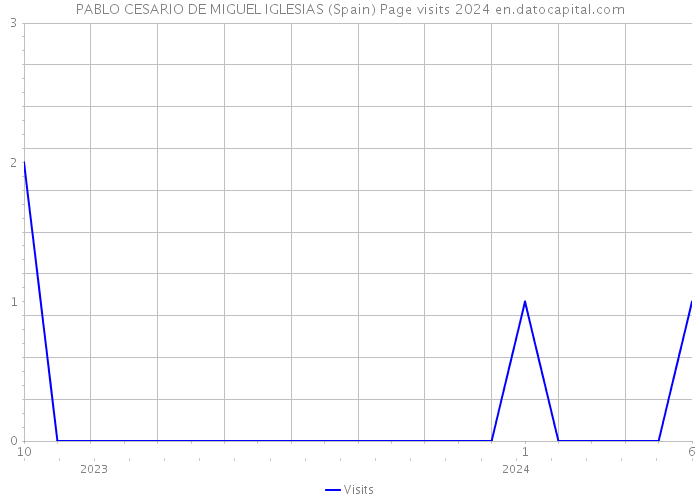 PABLO CESARIO DE MIGUEL IGLESIAS (Spain) Page visits 2024 