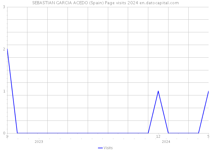 SEBASTIAN GARCIA ACEDO (Spain) Page visits 2024 